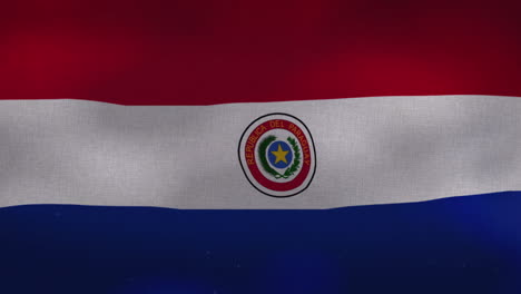 The-Paraguay-national-waving-flag