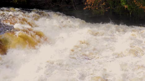 Dundaff-Linn-Wasserfall-Am-Fluss-Clyde-Bei-New-Lanark,-Schwenk-Nach-Rechts