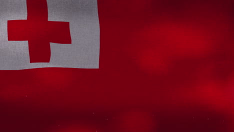 Die-Tongaische-Nationalflagge-Schwenkt