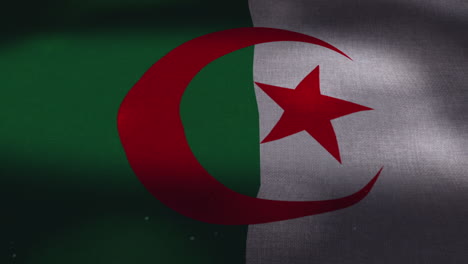 Die-Algerische-Nationalflagge-Schwenkt