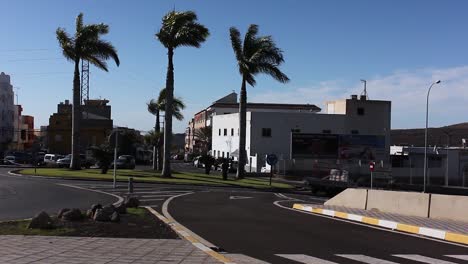 Palms-at-a-roundabout-next-to-the-highway-on-the-island-of-Tenerife