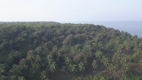 Beautiful-green-trees-of-the-tropical-landscape-of-South-Goa,-India---aerial