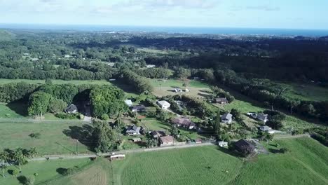 Panoramic-View-Of-Peaceful-Village-At-The-Fields-In-Kilauea,-Hawaii---aerial-drone