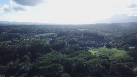 Beautiful-Green-Landscape-In-Kilauea,-Hawaii---aerial-drone