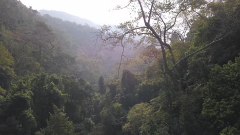 Paisaje-De-Selva-Peluda-En-El-Valle-De-La-Cascada-De-Mainapi-En-El-Santuario-De-Vida-Silvestre-De-Cotigao,-Netravali,-Sur-De-Goa,-India