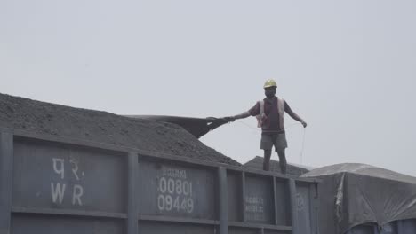 Worker-In-Safety-Hard-Hat-Covering-Coal-Loaded-In-Delivery-Wagon
