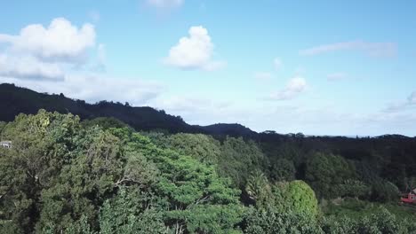 Hermosos-árboles-Verdes-Del-Bosque-En-Una-Montaña-Contra-El-Cielo-Azul-Brillante-En-Kilauea,-Hawaii---Dron-Ascendente