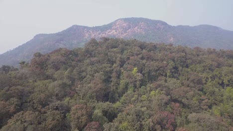 Drone-Vuela-Sobre-El-Denso-Follaje-En-El-Parque-Forestal-En-Canacona-Taluka,-Sur-De-Goa,-India