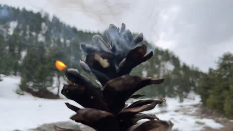 Close-Up-Of-Burning-Pine-Cone-On-Snowy-Landscape-Of-Kinnaur-In-Himachal-Pradesh-In-India