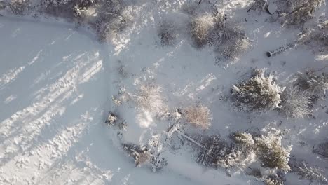 Winterlicher-Wald-Von-Oben-Nach-Unten-Drohnenaufnahme-Finnland.-Rechts-Abbiegen