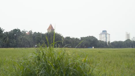 Rain-Falling-On-The-Green-Grass-At-The-Empty-Oval-Maidan-In-Mumbai,-India-With-The-Old-Secretariat-Towering-In-The-Background---Covid-19-Lockdown---ground-level-wide-shot