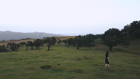 Vista-De-Drones-De-Una-Mujer-Cruzando-Una-Pradera-Con-árboles-Cortos-En-La-Isla-De-Madeira,-Portugal