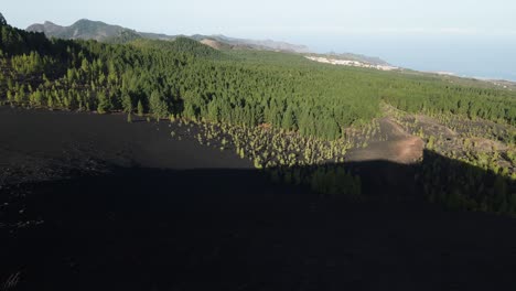 Cinematic-Establishing-Drone-Shot-of-Green-Forest-on-a-Mountain-in-Tenerife,-Spain,-Calming