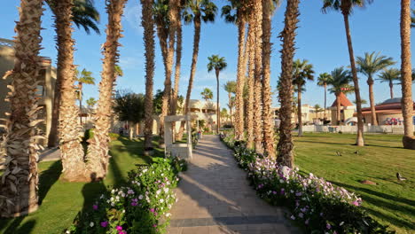 Slowmotion---Forward-approach-along-pathway-with-palm-trees-and-flowers