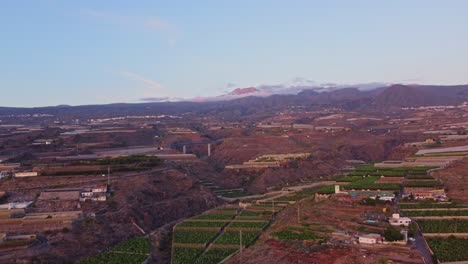Sur-De-Tenerife,-Islas-Canarias:-Plantaciones-De-Plátanos-En-San-Juan