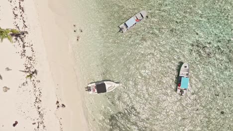 Gente-Relajándose-En-Aguas-Caribeñas-En-Playa-Frontón,-República-Dominicana