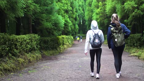 Sao-Miguel,-Portugal,-30.-März-2023:-Rückblick-Von-Sportlerinnen-Beim-Trekking-Auf-Einem-Pfad-Durch-Berge,-Wandern-Auf-Schlammigen-Pfaden-Nach-Regenfällen-Inmitten-Der-Natur-Mitten-Im-Wald-Und-Im-Dschungel