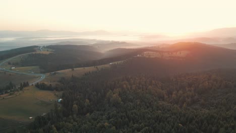 Aerial-drone-view-of-a-fir-forest-at-sunrise