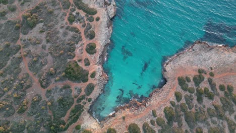 Aerial-View-Of-A-Small-Stunning-Beach-Of-Cala-Petita-Near-Sa-Coma-And-Porto-Cristo-In-Mallorca,-Spain