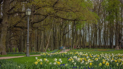 Forest-park-and-blooming-flowers-with-people-walking-on-pathways,-time-lapse-view