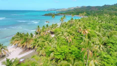 Playa-Rincon-in-Samana-Peninsula,-Las-Galeras-in-Dominican-Republic