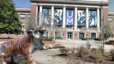 Estatua-Del-Tigre-En-El-Campus-De-La-Universidad-De-Memphis-En-Memphis,-Tennessee,-Con-Vídeo-Panorámico-De-Izquierda-A-Derecha.