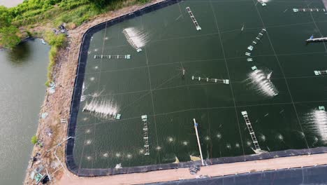 Kraftwindmühlen-Leiten-Sauerstoff-In-Den-Teich