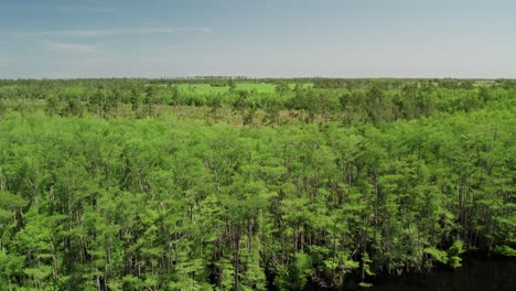 Aerial-shot-showing-vast-dense-forest-and-farm-land-bordering-a-river-in-northern-Florida