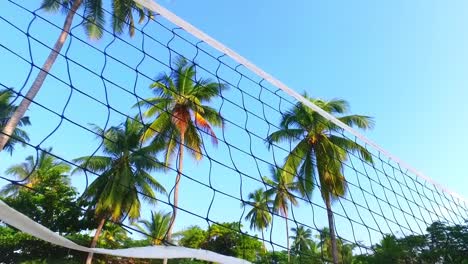 Ein-Beachvolleyballnetz-Hing-An-Zwei-Kokospalmen-An-Einem-Sehr-Schönen-Weißen-Sandstrand-In-Sansibar