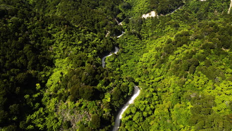 Totaranui-road-amid-lush-green-silver-fern-forest-New-Zealand,-aerial-view