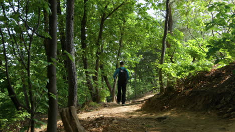 Rear-view-of-hiker-following-a-dirt-trail-surrounded-by-lush-greenwood-on-a-sunny-day-hiking-in-Gwanaksan-mountain-forest-path-in-Seoul,-South-Korea
