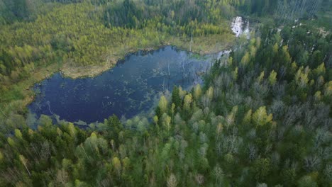 Slowly-circling-aerial-drone-shot-of-a-blue-lake-surrounded-by-a-lush-forest,-capturing-a-wide-perspective