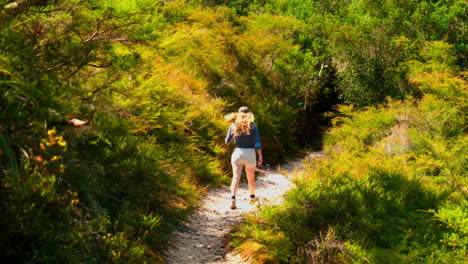 Walking-down-a-path-in-the-bush,-Rotorua,-New-Zealand