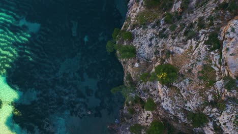 Bird-top-view-of-pristine-cliff-coast-beach-bay-with-clear-turquoise-water-and-trees-on-Palma-de-Mallorca-Island