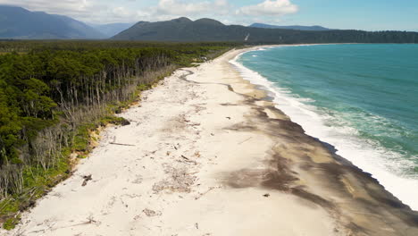 Serene-Maori-beach-and-rimu-tree-forest-on-Pacific-ocean-coast,-Bruce-Bay,-New-Zealand
