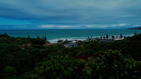 Coming-out-of-trees-to-view-of-ocean-and-beach,-Okitu,-Gisborne,-New-Zealand