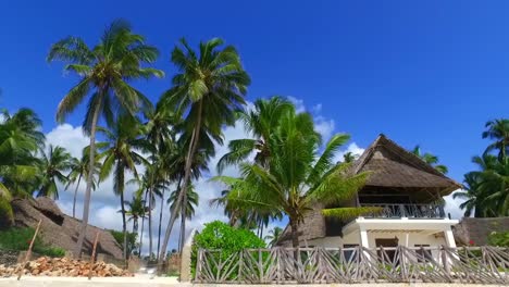 Traditionelles-Palapa-Haus,-Umgeben-Von-Kokospalmen-Auf-Weißem-Sand-Am-Jambiani-Beach-Sansibar
