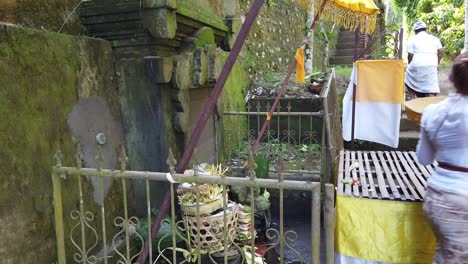 Hermosa-Mujer-Balinesa-Vestida-Con-Kebaya-Reza-En-La-Ceremonia-Del-Agua-Bendita,-Templo-Natural,-Arquitectura-De-Piedra-De-Humedad-Verde-Con-Su-Familia