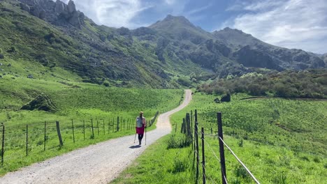 Static-view-of-woman-hiking-a-trail-in-epic-rural-green-mountainous-valley-of-Asturias,-Spain