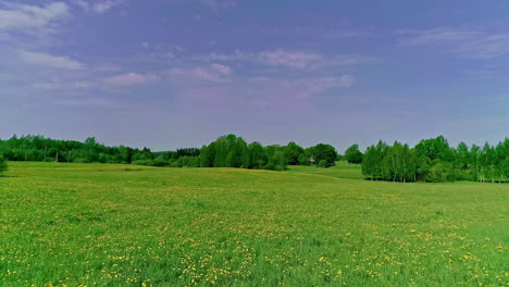 Malerisches-Grünes-Wiesenfeld-Mit-Gelben-Blumen-Entlang-Sanfter-Hügel,-Luftwagen