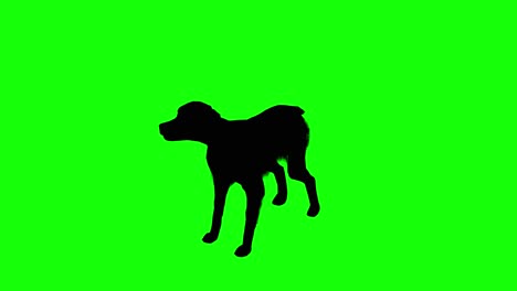 Silhouette-of-a-brittany-dog-barking-on-green-screen,-perspective-view