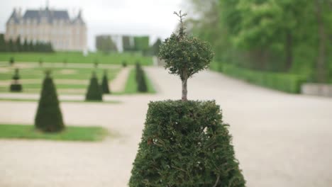 The-park-of-the-Castle-Fontainebleau