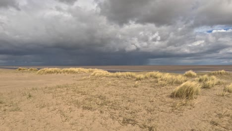 Strandgras-Wächst-An-Einem-Sonnenbeschienenen-Sandstrand-Mit-Grauem,-Stürmischem-Himmel