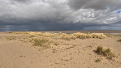 Strandgras-Wächst-An-Einem-Sonnenbeschienenen-Sandstrand-Mit-Grauem,-Stürmischem-Himmel
