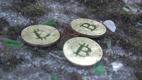 Three-physical,-golden-Bitcoins-between-shards-and-moss