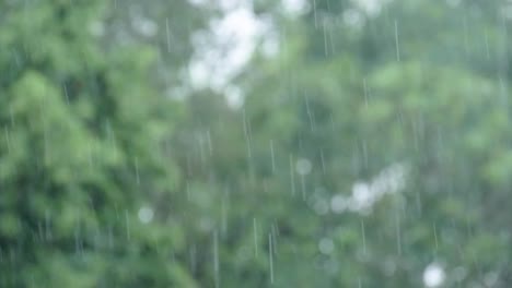 Starker-Regen-Vor-Einem-Verschwommenen-Hintergrund-Mit-Bokeh