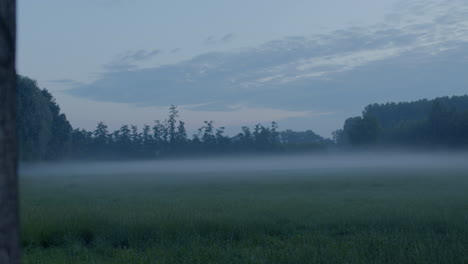 Smooth-dolly-in-shot-of-an-open-field-with-mist-in-the-early-morning-sunrise