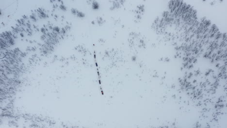 Aerial-Drone-View-Of-Reindeers-Pulling-People-On-Sleigh-in-Norway