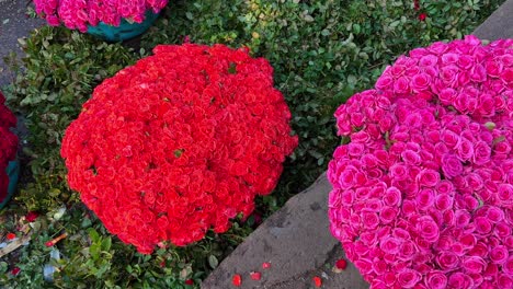 Eine-Aufnahme-Wunderschöner-Roter-Und-Rosafarbener-Rosen,-Die-In-Kübel-Gelegt-Und-Auf-Dem-Markt-Zum-Verkauf-Angeboten-Werden