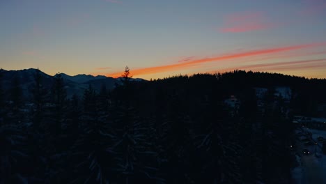 Drohnen-Sonnenuntergang-Silhouette,-Kiefern,-Winteraufnahme
